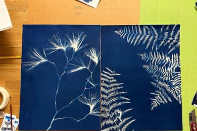 Joshua Tree: Workshop de Cianotipia Sunprint