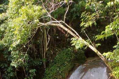 Excursão ao Blue Hole saindo de Ocho Rios