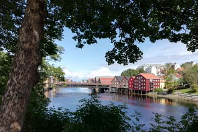 Trondheim : Utforska kungarnas stad med en lokal guide