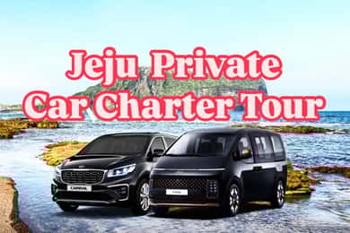 Jeju Island: Private Car Charter Tour