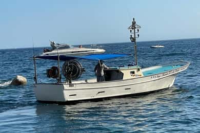 From Amalfi: Amalfi - Positano - Coast boat tour