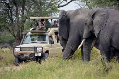 Arusha: Serengeti and Ngorongoro Multi-Day Camping Safari
