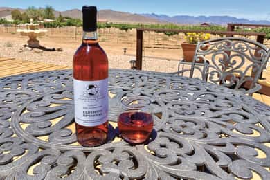 Scenic Desert Wine, Distillery Tastings/Brewery/RT66 & Lunch