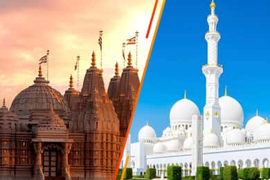 Depuis Dubaï : Visite du temple hindou BAPS et de la mosquée Sheikh Zayed