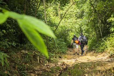 Phuket: Jungle Trekking-oplevelse ved Khao Phra Taew
