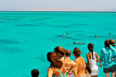 Key West: Dolphin & Reef Snorkel Trip with Sunset Option