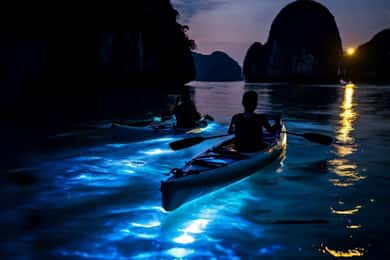 Cat Ba : Lan Ha Bay Bioluminescent Plankton Kayak Boat Tour