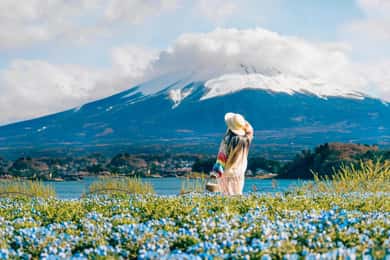 Tokyo: Full-day Tour of the Six Majestic Spots of Mt Fuji