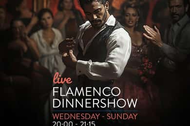 Malaga: authentieke flamencodiner-show bij Vino Mio
