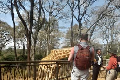 Elephant orphanage, Giraffe center, kobe beads tour