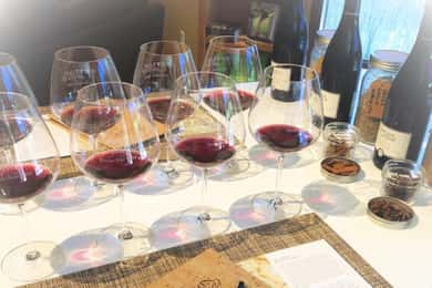 Dutton-Goldfield Winery: Pinot Noir Tasting