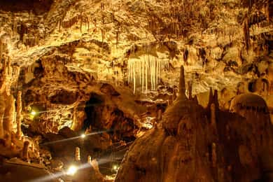 Die Bärenhöhle: 1-tägige Tour im klimatisierten Auto ab Oradea