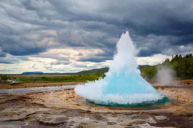 Reykjavík: Golden Circle, Friðheimar en Laugarás Lagoon Tour