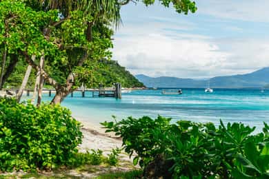 Cairns: Fitzroy Island Full-Day Trip with Optional Extras