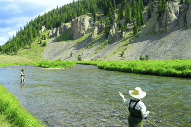 Big Sky: Learn to Fly Fish on the Gallatin River (3 hours)