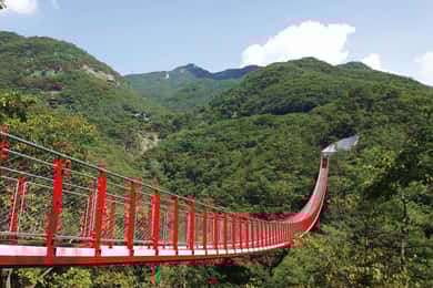DMZ (3rd Tunnel)+Suspension Bridge Guided Private Tour