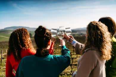 Porto: Passeio ao Vale do Douro com 2 Adegas, Almoço e Cruzeiro