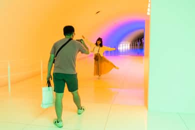 The Museum of Fine Arts, Houston Entry Ticket