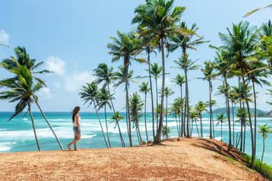 8-Day Sri Lanka Private Round Tour Hotels, Meals, Car, Guide