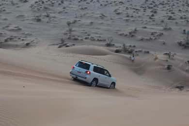 Magische Wüstensafari auf dem Landweg im Empty Quarter