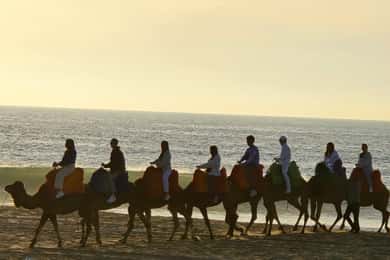 Εξερευνήστε την Ταγγέρη: Καπ Σπαρτέλ, Σπήλαιο, & Περιπέτεια Βόλτας με Καμήλα