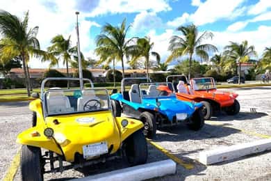 Cozumel: Classic Jeep or Buggy Island Tour to Punta Sur