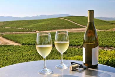 De SFO - Excursão de vinho encantada em Napa e Sonoma em SUV