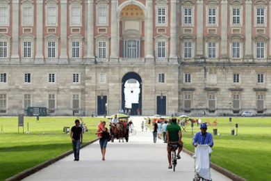Desde Nápoles: tour privado al Palacio Real de Caserta y sus jardines