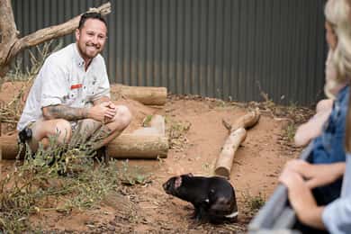 Monarto Safari Park: A Devilish Native Experience