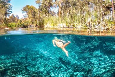 Katherine Gorge - Mataranka - Edith Falls - Adelaide River