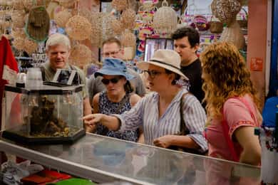 Merida: Gastronomic tour of typical Yucatecan food.