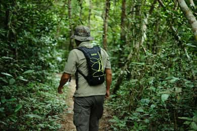 Khao Sok: Trekking privado de um dia, jantar na selva e safári noturno