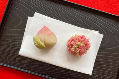 Nagoya: Produzione di dolci tradizionali giapponesi e cerimonia del tè