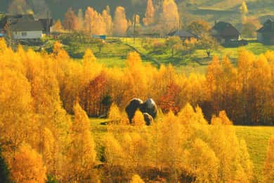 From Brasov: Romanian Mountain Villages Day Tour