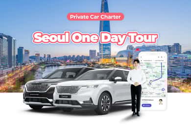 Seoul: Private One Day Car Charter