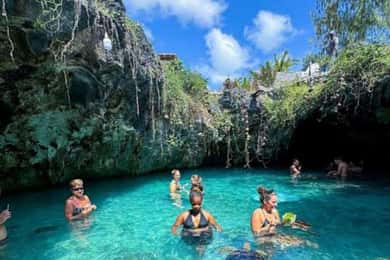 ZANZIBAR:Dolphin at Mnemba, Jozani Forest and Sea Turtle