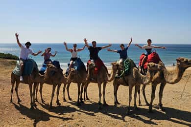 Private Day Trip: Gibraltar & (Tangier) Morocco from Seville