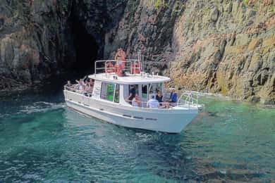 Scandola: Besuch des Naturreservats von Porto aus (Frankreich)