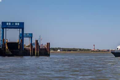 Amrum: Dagstur med båd til Hallig Hooge