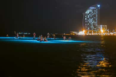 Paddle surf at night with light & drink -photos &videos