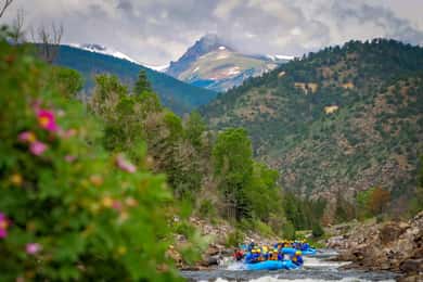 Clear Creek: Intermediate Rafting Trip