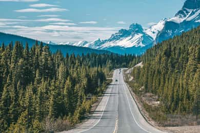 From Canmore/Banff: Icefields Parkway Experience