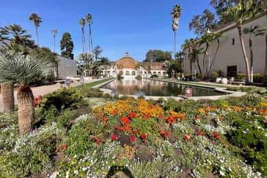 Tur privat de 5 1/2 ore în San Diego cu un Lexus ES300H