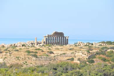 Geführte Tour durch den Archäologischen Park von Selinunte