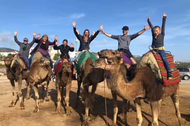 Desde Agadir: Paseo en Camello y Excursión a los Flamencos