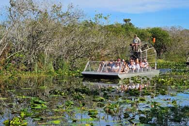 Everglades: båttur med transport och entré ingår