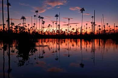 From Puerto Maldonado || Sunset boat ride for 3 hours ||