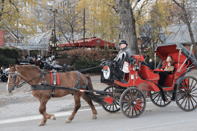 Ciudad de Nueva York: Paseo de 55 minutos en coche de caballos por Central Park