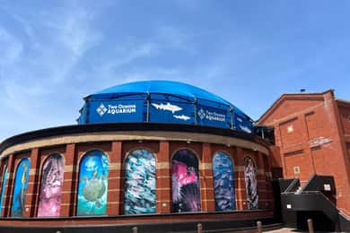 ツーオーシャンズ水族館ワールドバード＆ワインテイスティングプライベートツアー