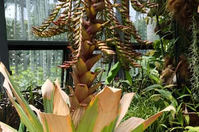 Bogotá: Tropicarium and Botanical Garden Tour